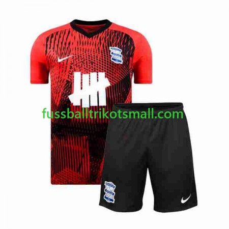 Fußballtrikots Birmingham City Kinder 2023-2024 Kurzarm Auswärts-trikot kaufen